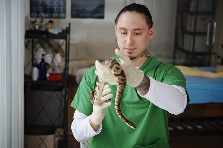 A veteran in green scrubs is holding a snake indoors.
