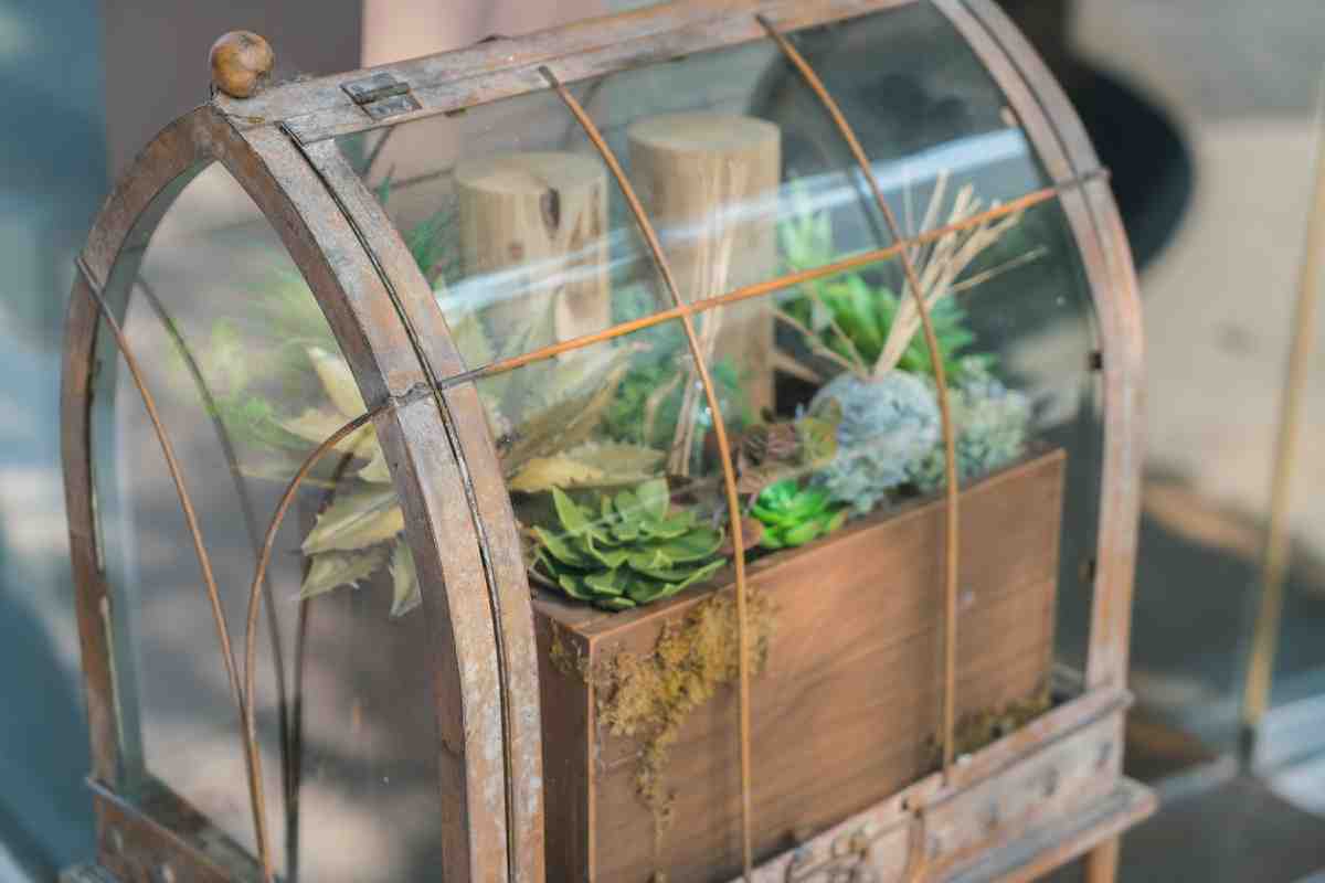 A vintage terrarium filled with lush succulents and wooden accents, housed in a glass and metal enclosure.